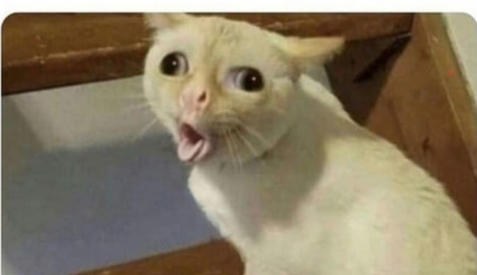 Мемы на сегодня #13