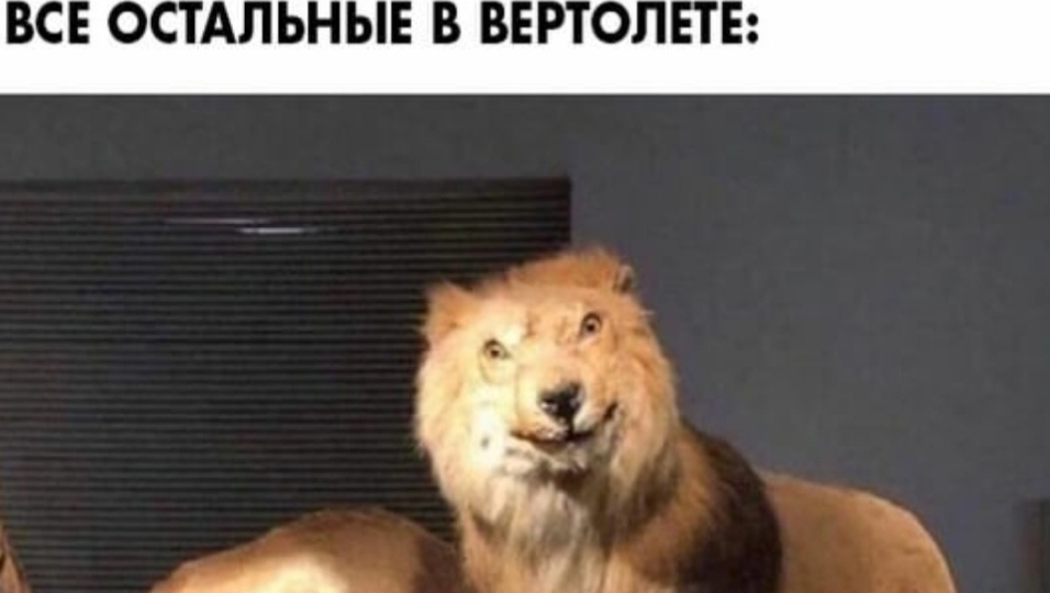 Мемы на сегодня #16