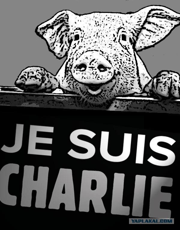 Нет, свинья тут - кто-то иной. Не тот, кто сострадает убитым, какими б они ни были. Заметим - эта мерзость не о тех, кто даже и рисовал карикатуры, а просто о тех, кто их пожалел. 