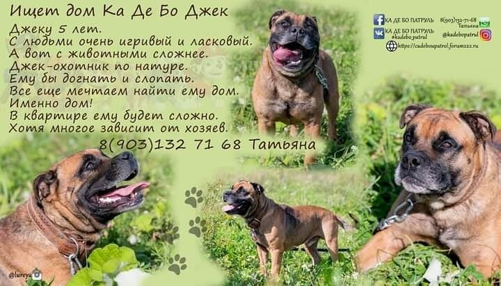Кадебо Джек