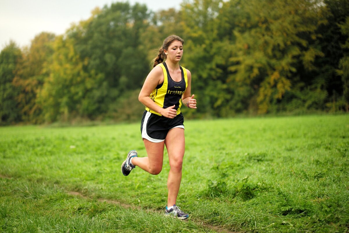 яндекс картинки