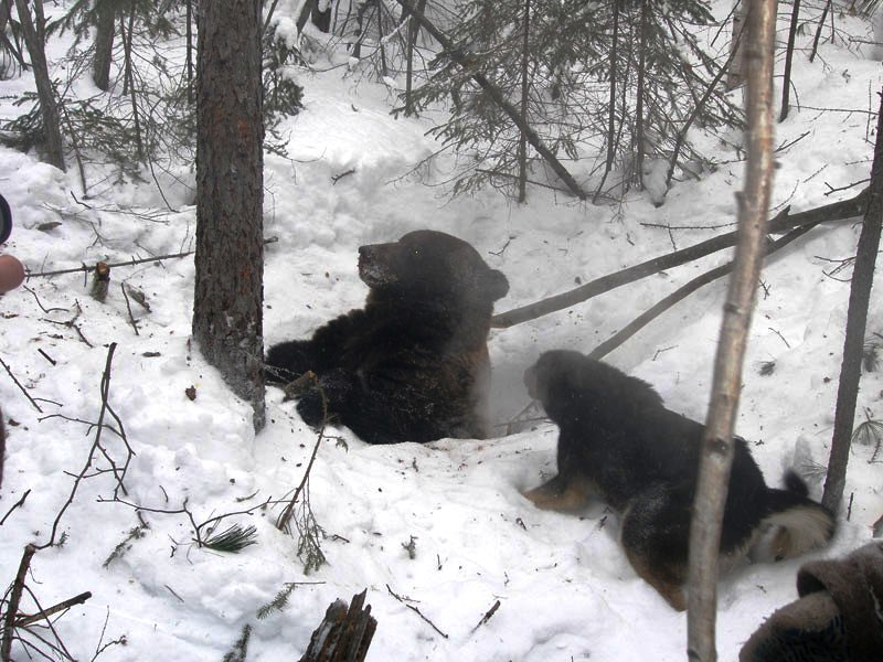 Фото из интернета. 