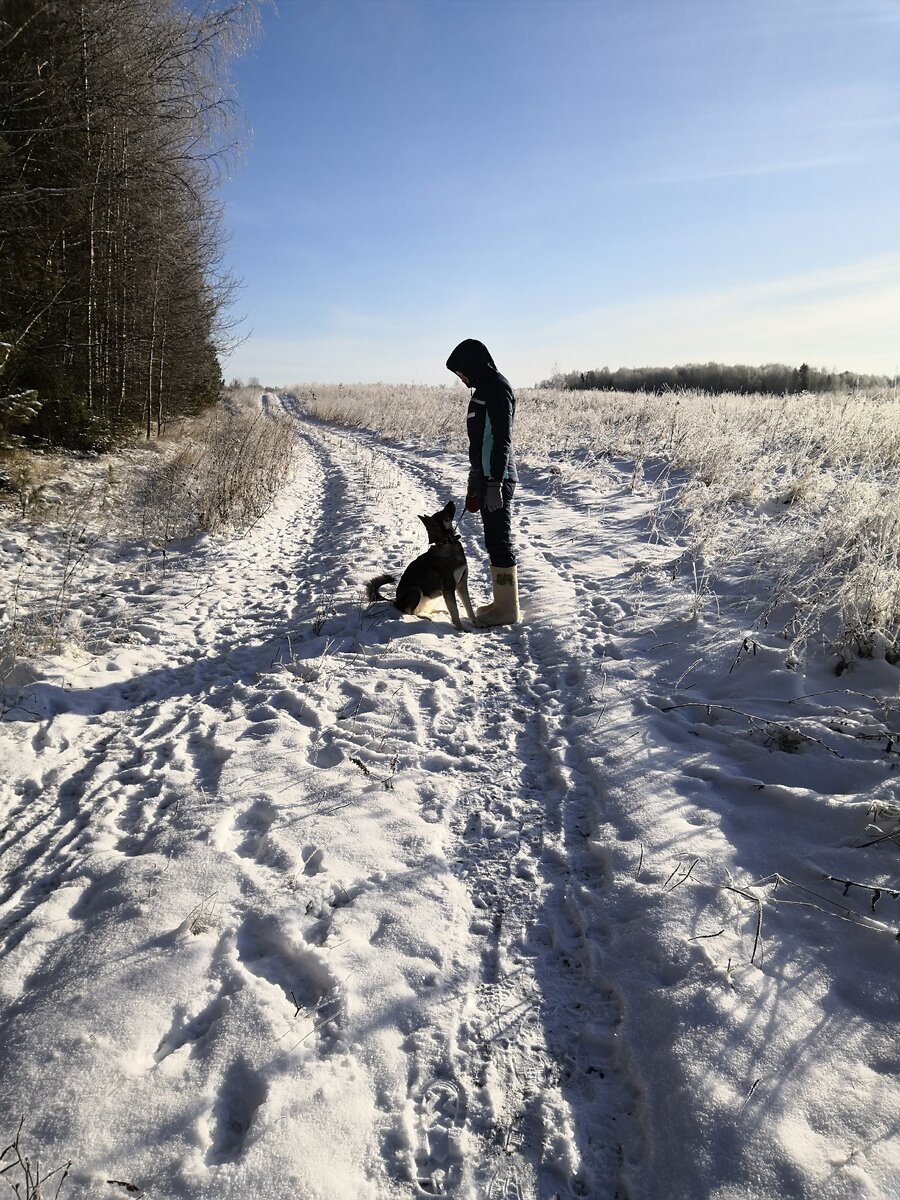 Маленькая попрошайка клянчит вкусняшку