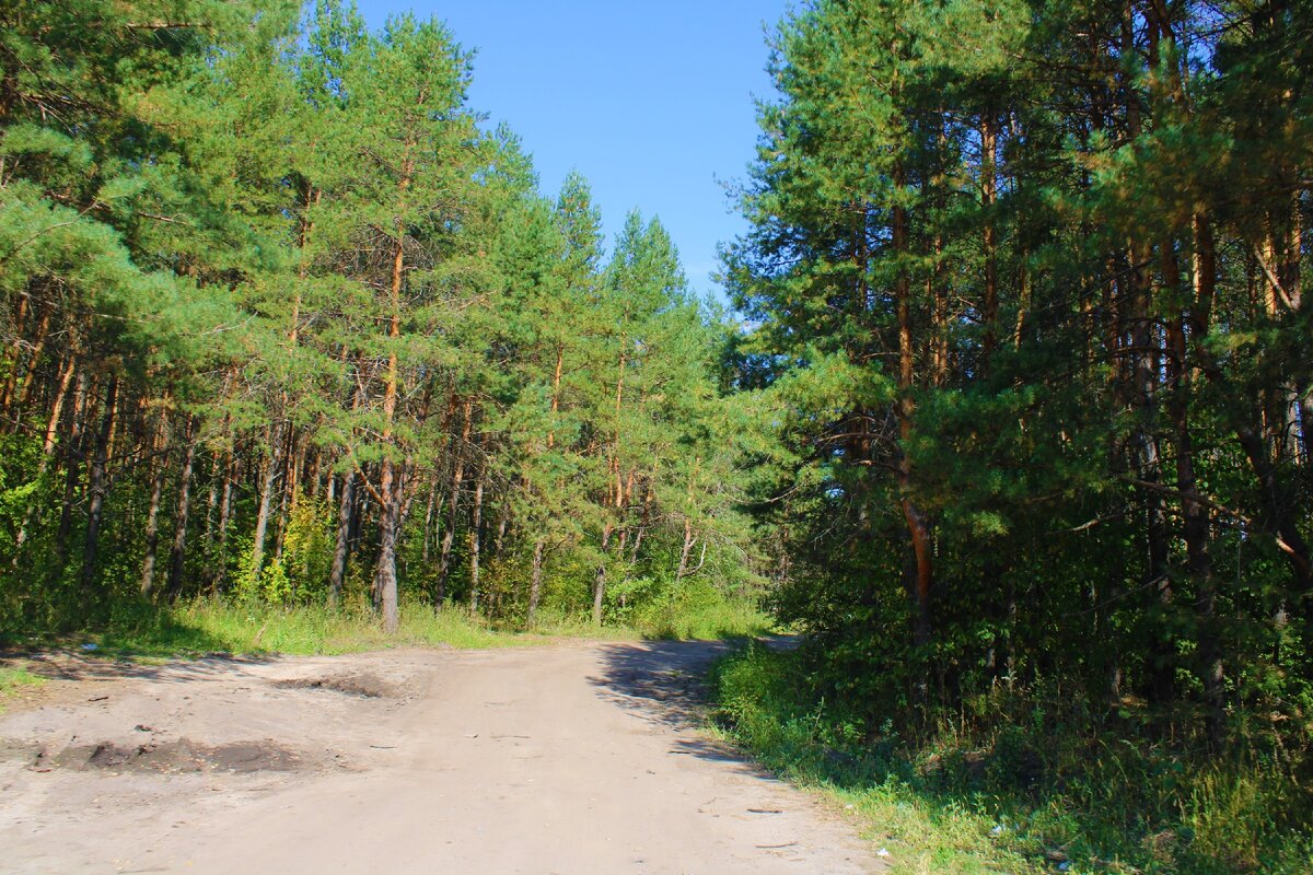 Село Поим в Пензенской области в котором много старинных домов, на чердаке  одного люди нашли даже газеты 1901 года | Под зонтиком | Дзен