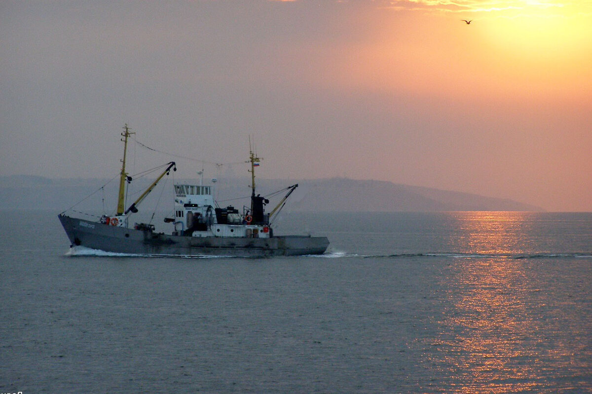 Интернет открытый доступ - СЧС