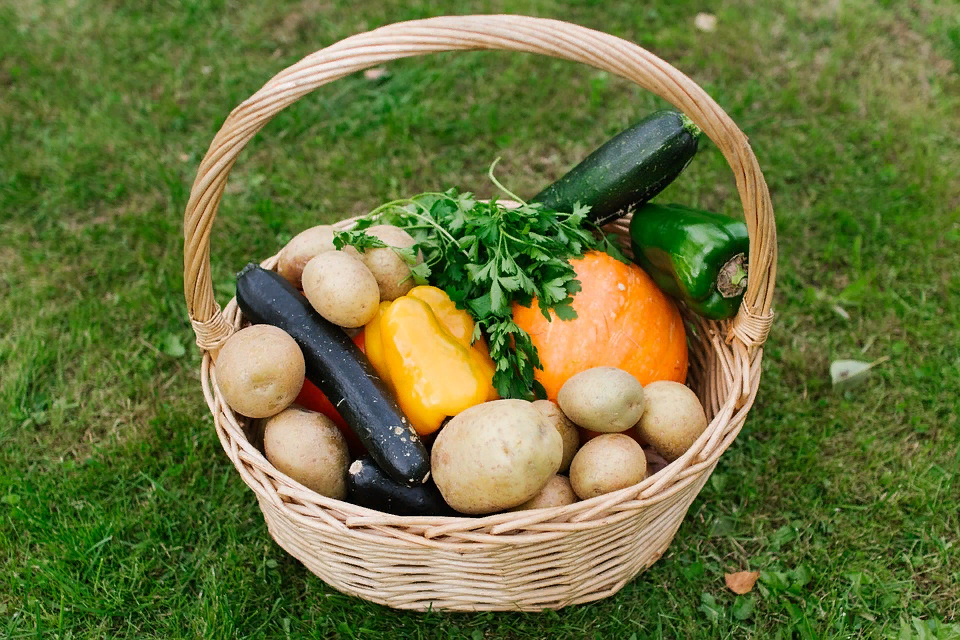 Кабачки картошка морковь лук. Корзинка с овощами. Корзина с овощами и фруктами. Корзинка с урожаем. Урожай овощей в корзине.