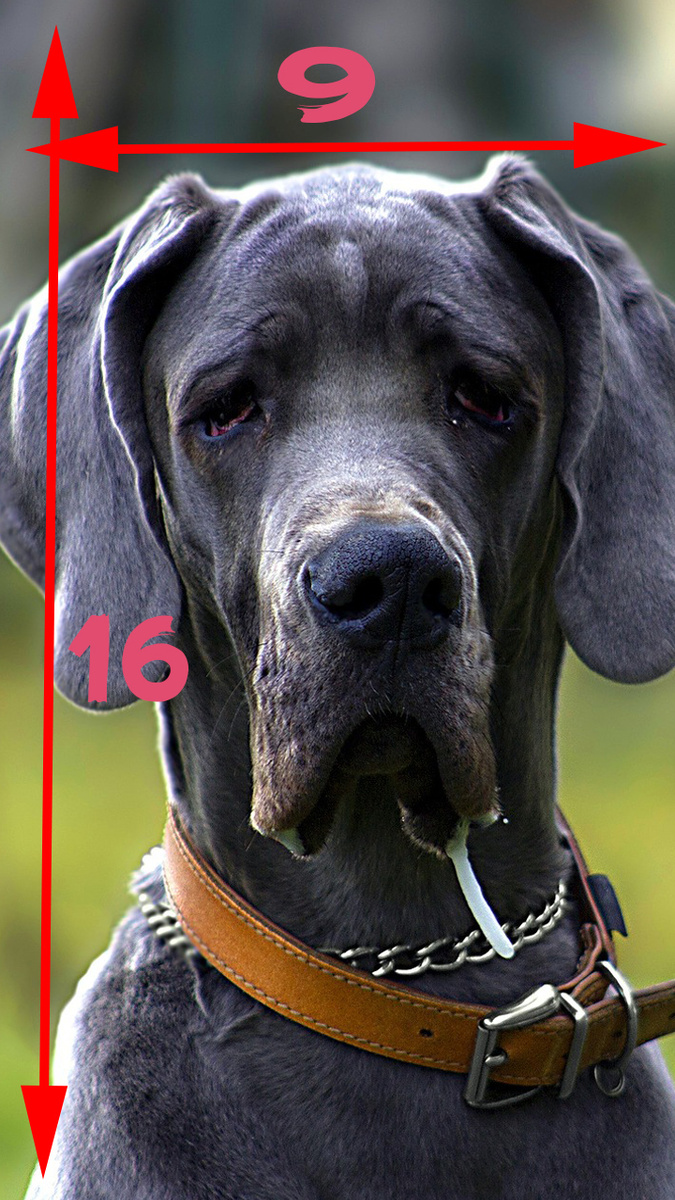 Вот так примерно выглядит соответствие сторон