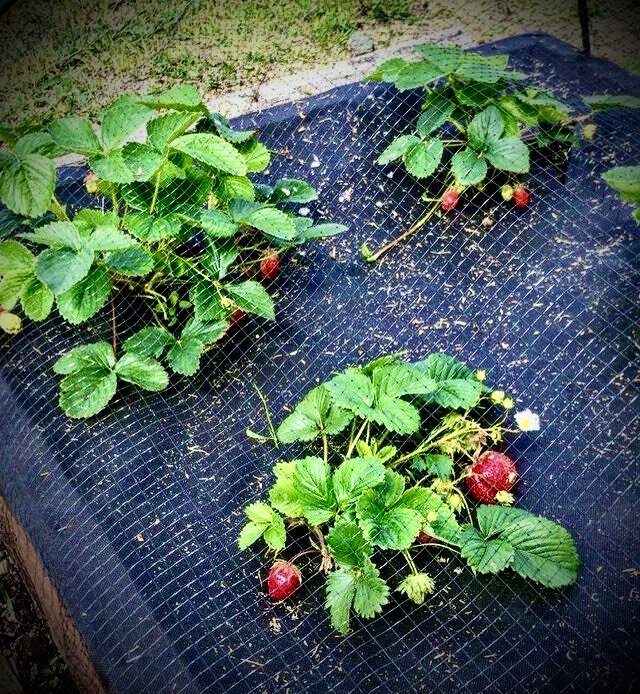 Фото из архива