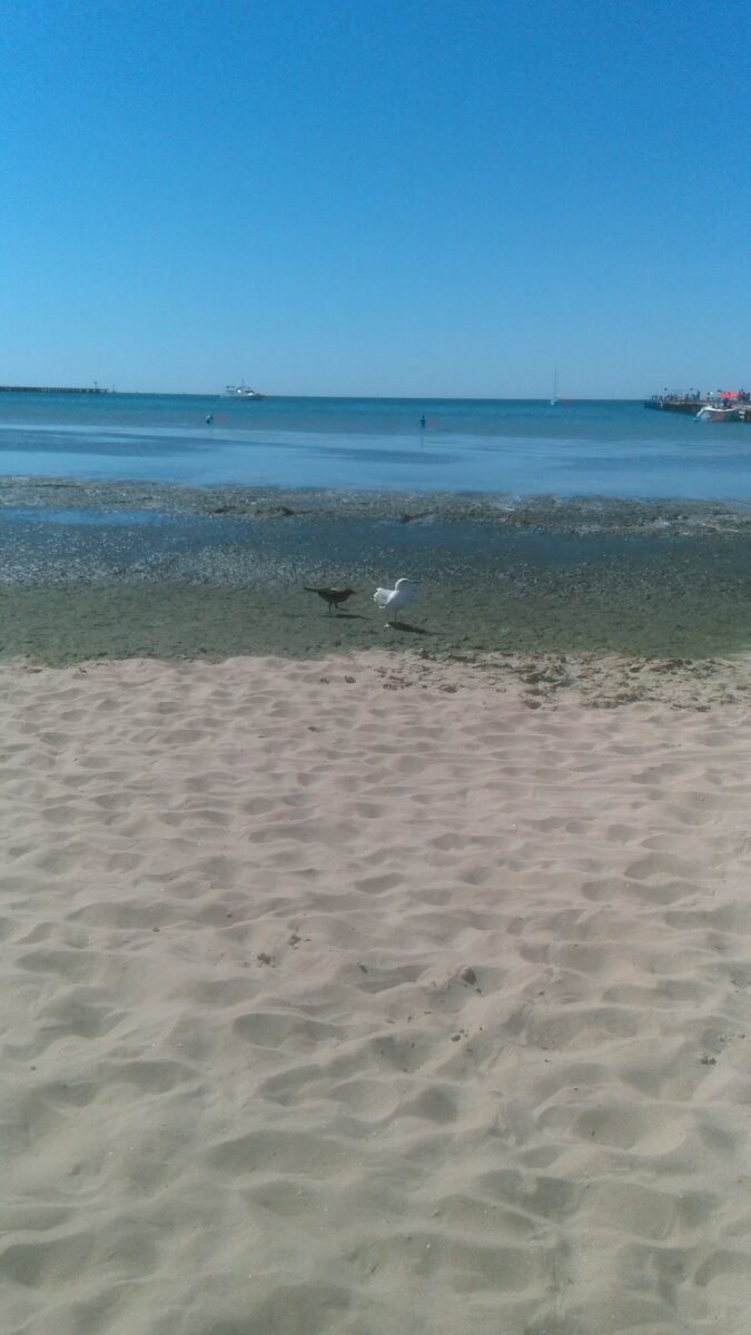 А какой красивый песочек, можно такой курорт роскошный сделать. С возможностями, которые есть у нашей страны, ах такое место пропадает.