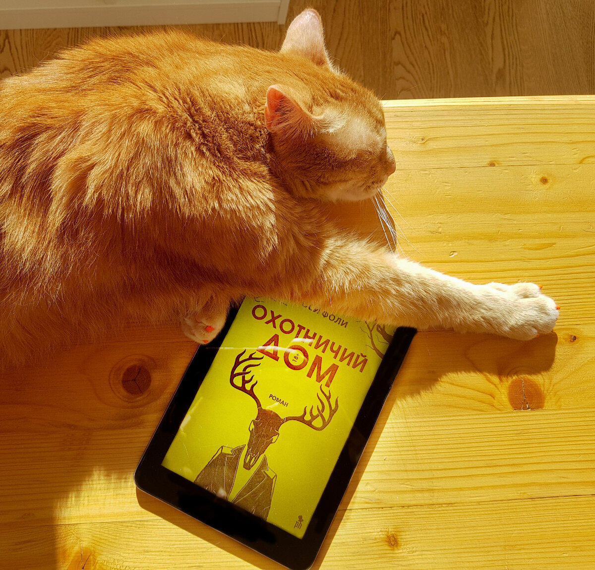 #люсифоли #охотничийдом 