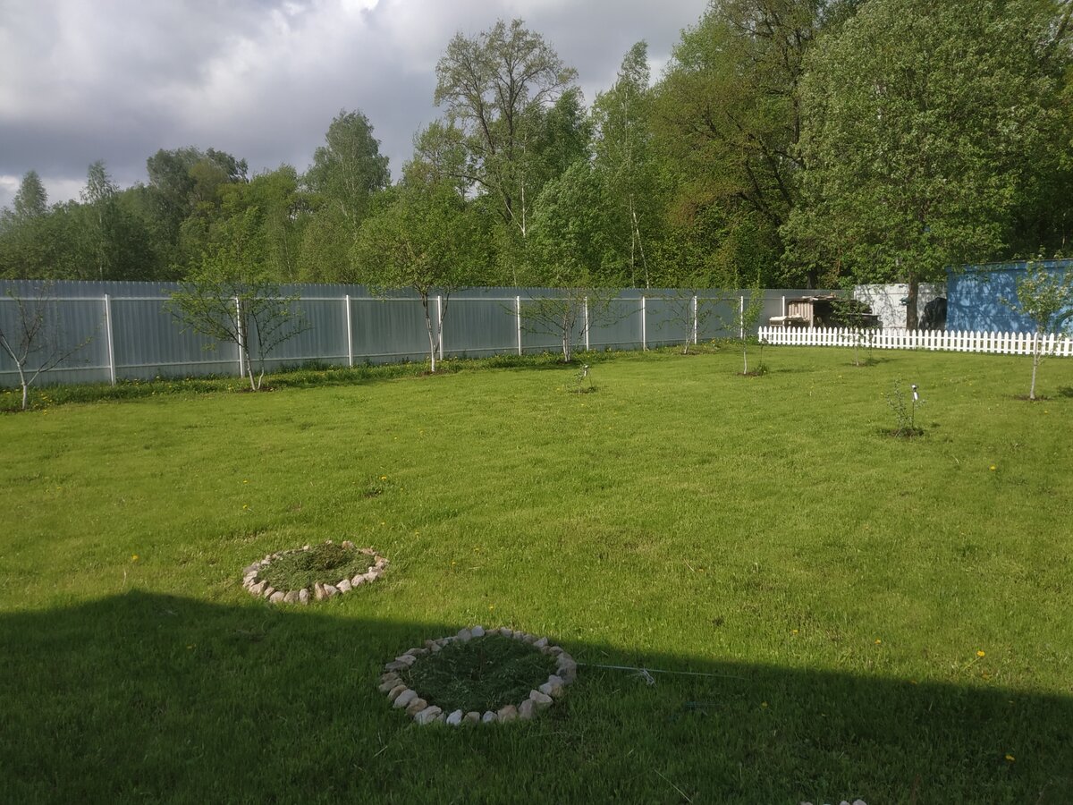 Лес вокруг ( и это плюс)