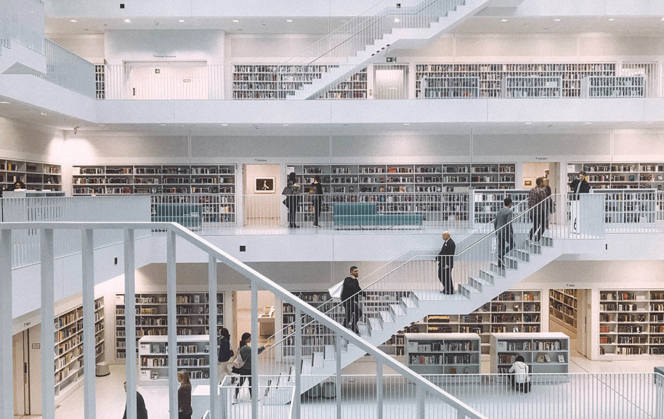 Изображение с сайта https://the-steppe.com/tags/besplatnye-znaniya