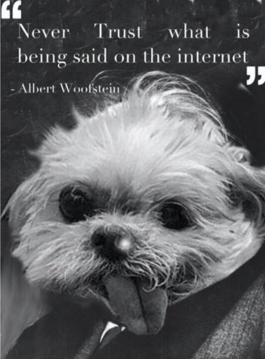 "Никогда не верь, что говорят в интернете" - Алберт Вуфка