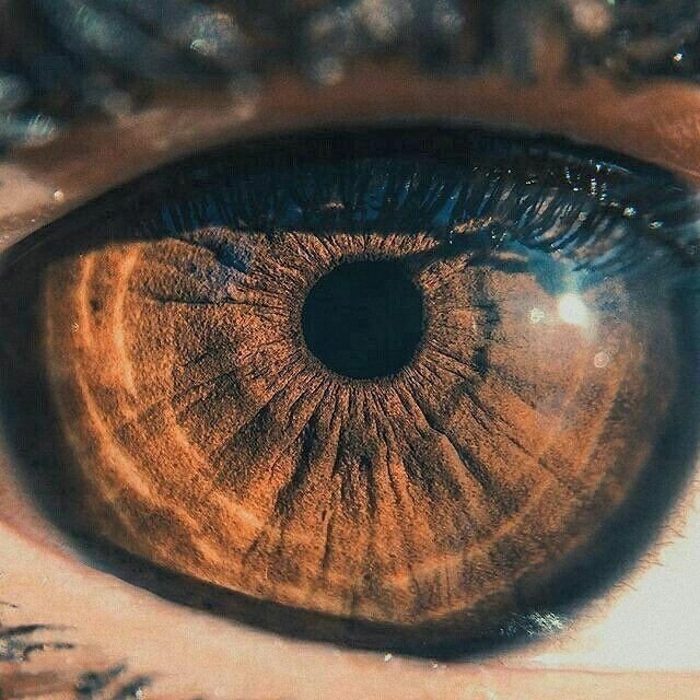 Each pair of brown eyes is unique. That is, you cannot find two exactly the same shades.