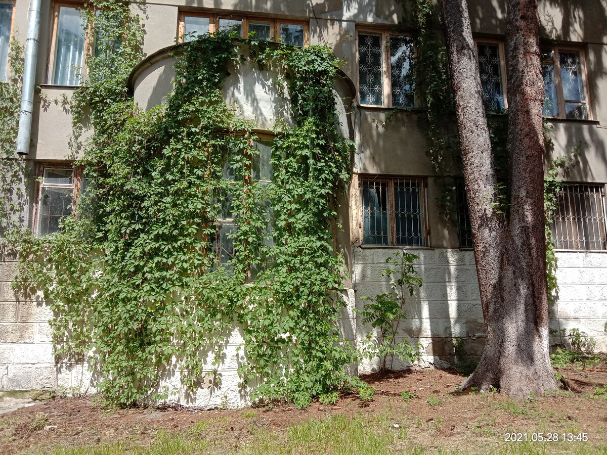 Фото автора канала