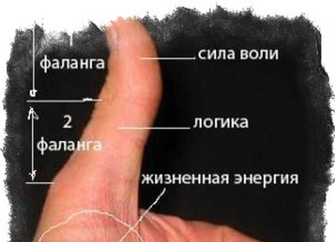 Пальцы и планеты. За что отвечает каждый палец на нашей руке