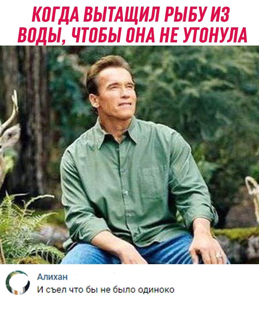 Смешно? Ставь лайк!