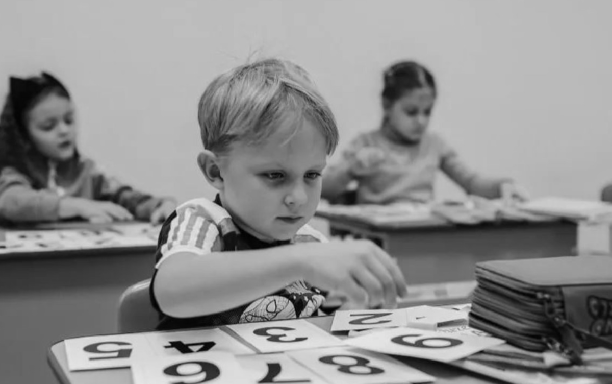 Добавьте описание