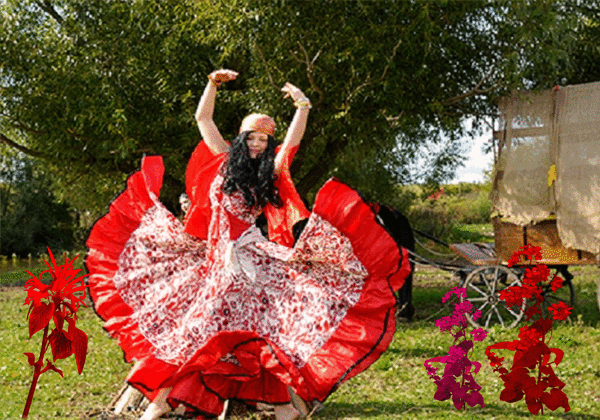 Песни цыганская королева. Цыгане танцуют. Цыганские цветы. Цыганский табор. Цыганский танец.