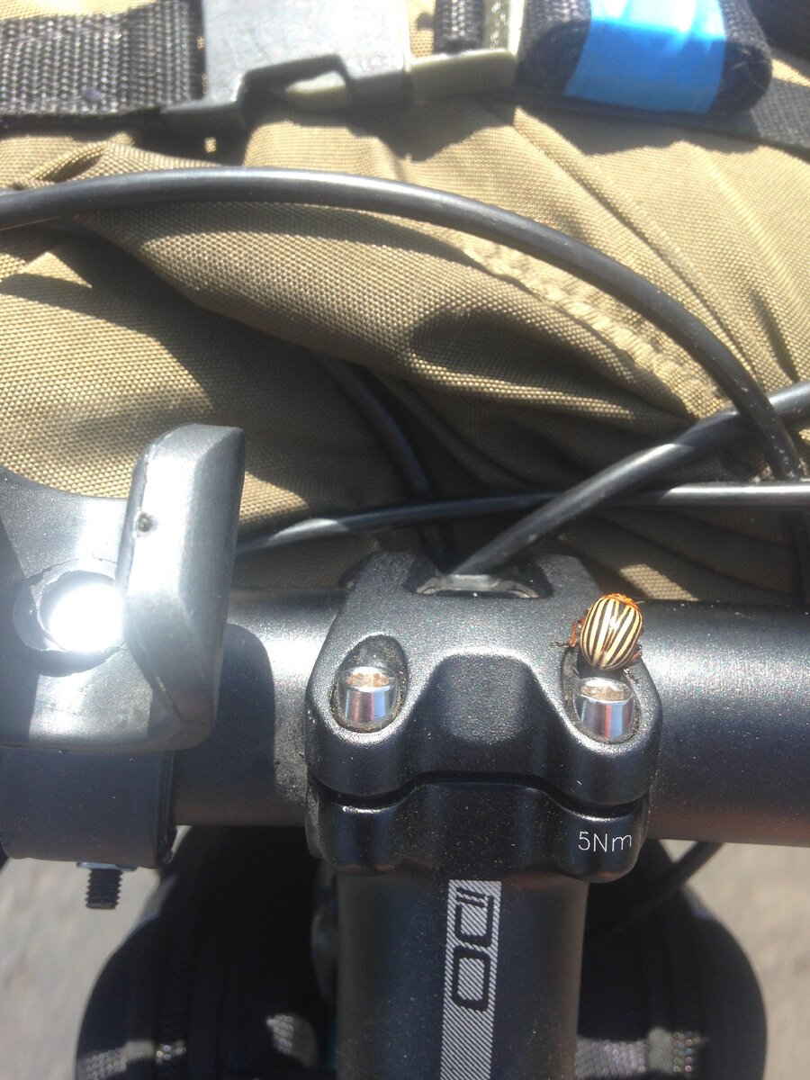 Мой попутчик )))