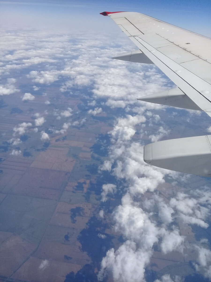 Степь да степь кругом, путь далёк лежит (фото автора - 2021)