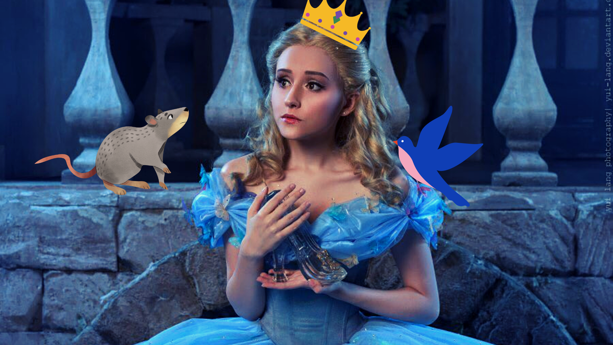 Фото из свободных источников