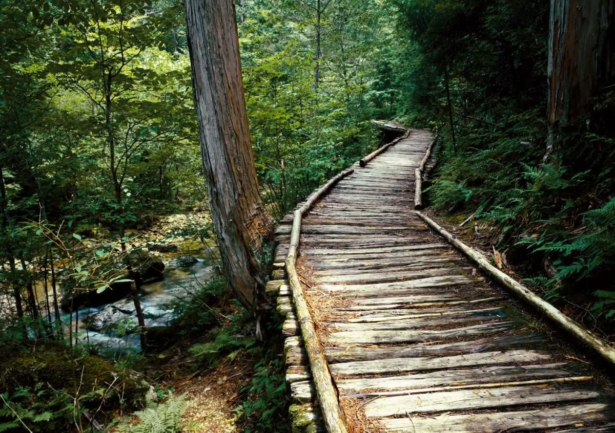 empik - своюодный доступ