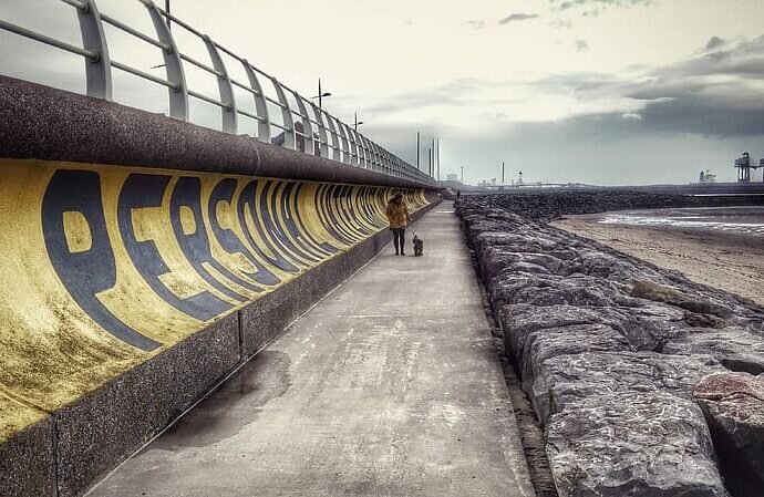 Фотоcommons.wikipedia.org 