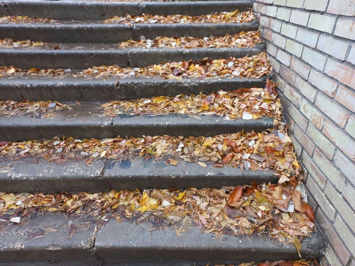 Фото автора.