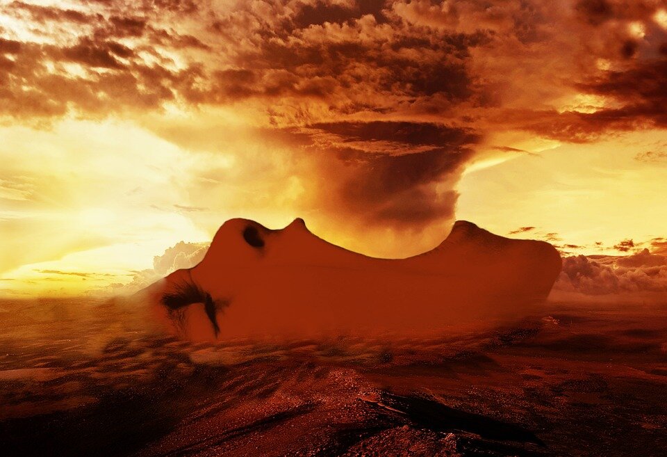 фото из открытых источников pixabay.com