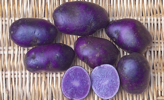 Картофель семенной Майами