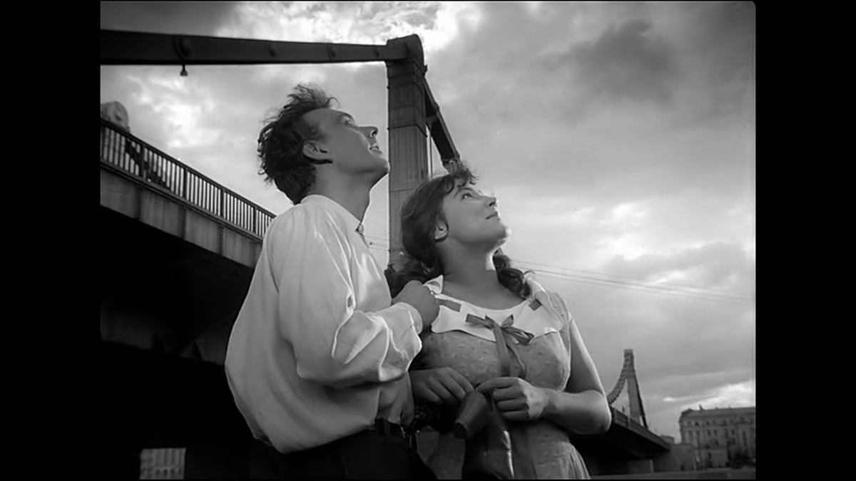 Кадр из фильма «Летят журавли»