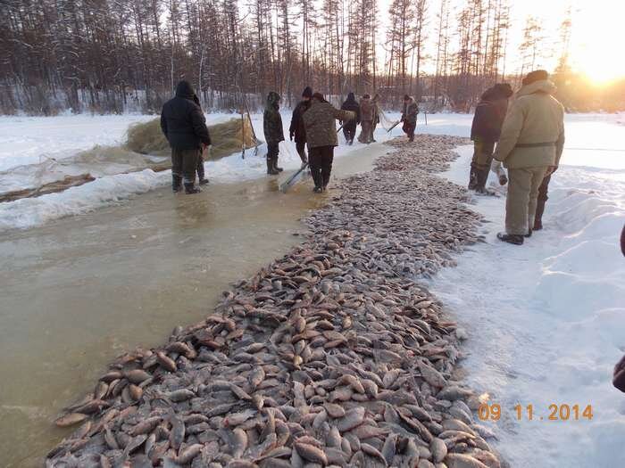 Подледная рыбалка в Якутии