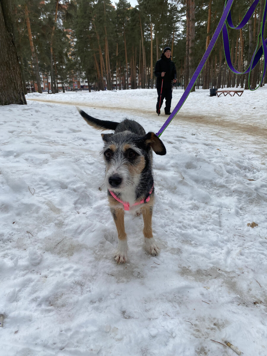 Плюшка 