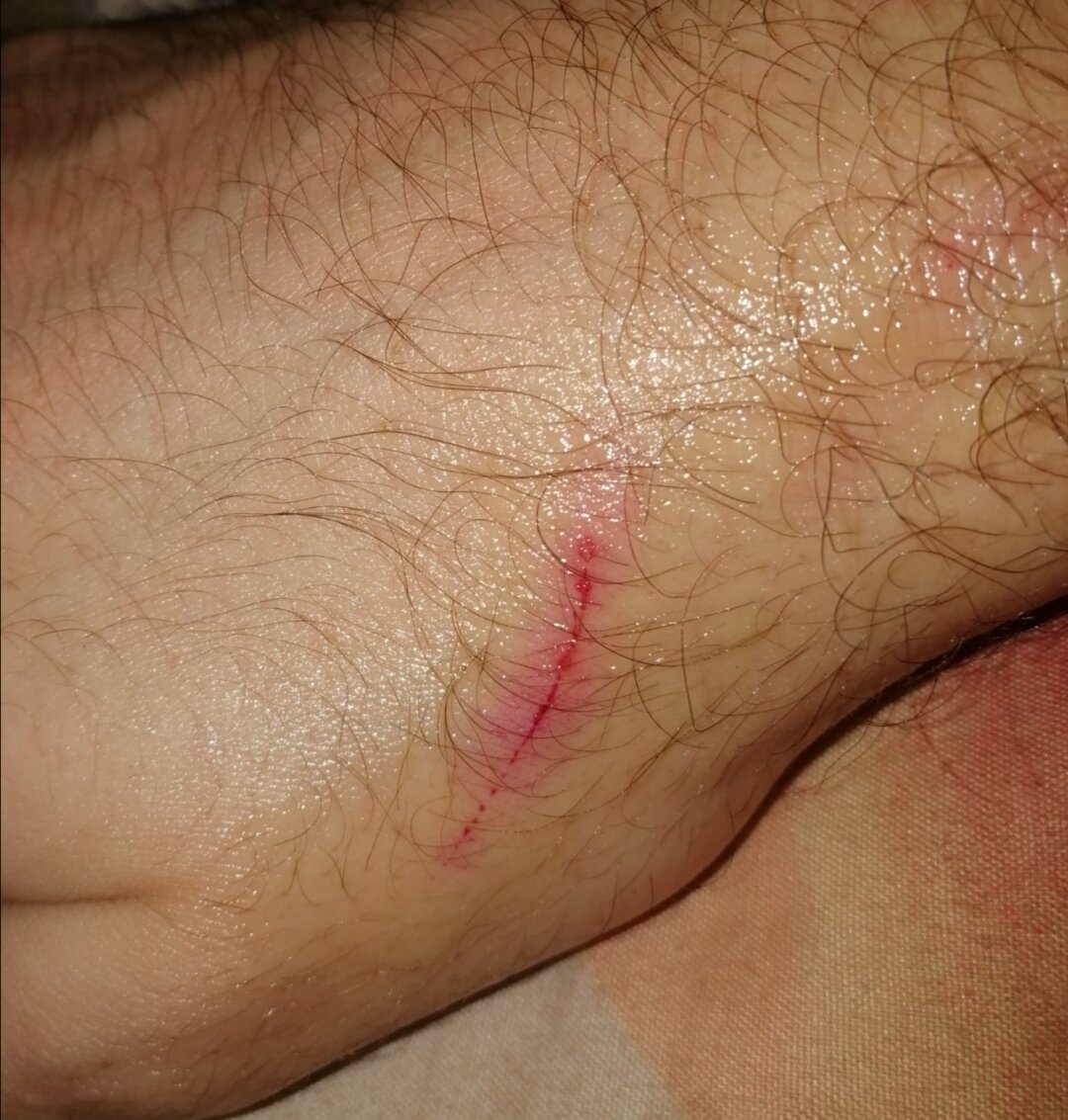 Фото с просторов