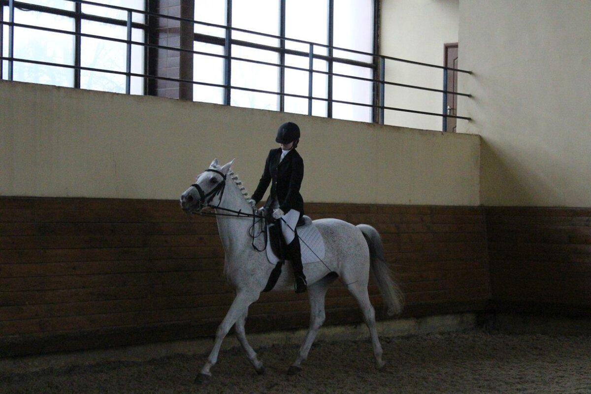 Дисбаланс, плохая амортизация и противоречивые команды всадника - вот что заставляет лошадь зажиматься, сопротивляться и испытывать явный дискомфорт. Фото из личного архива.