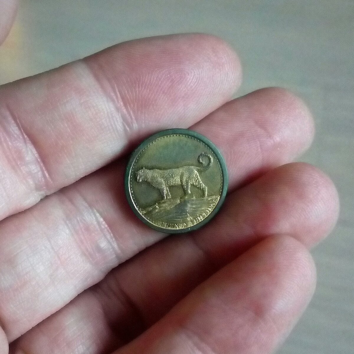 Монета Сомали 20 шиллингов 2013 года