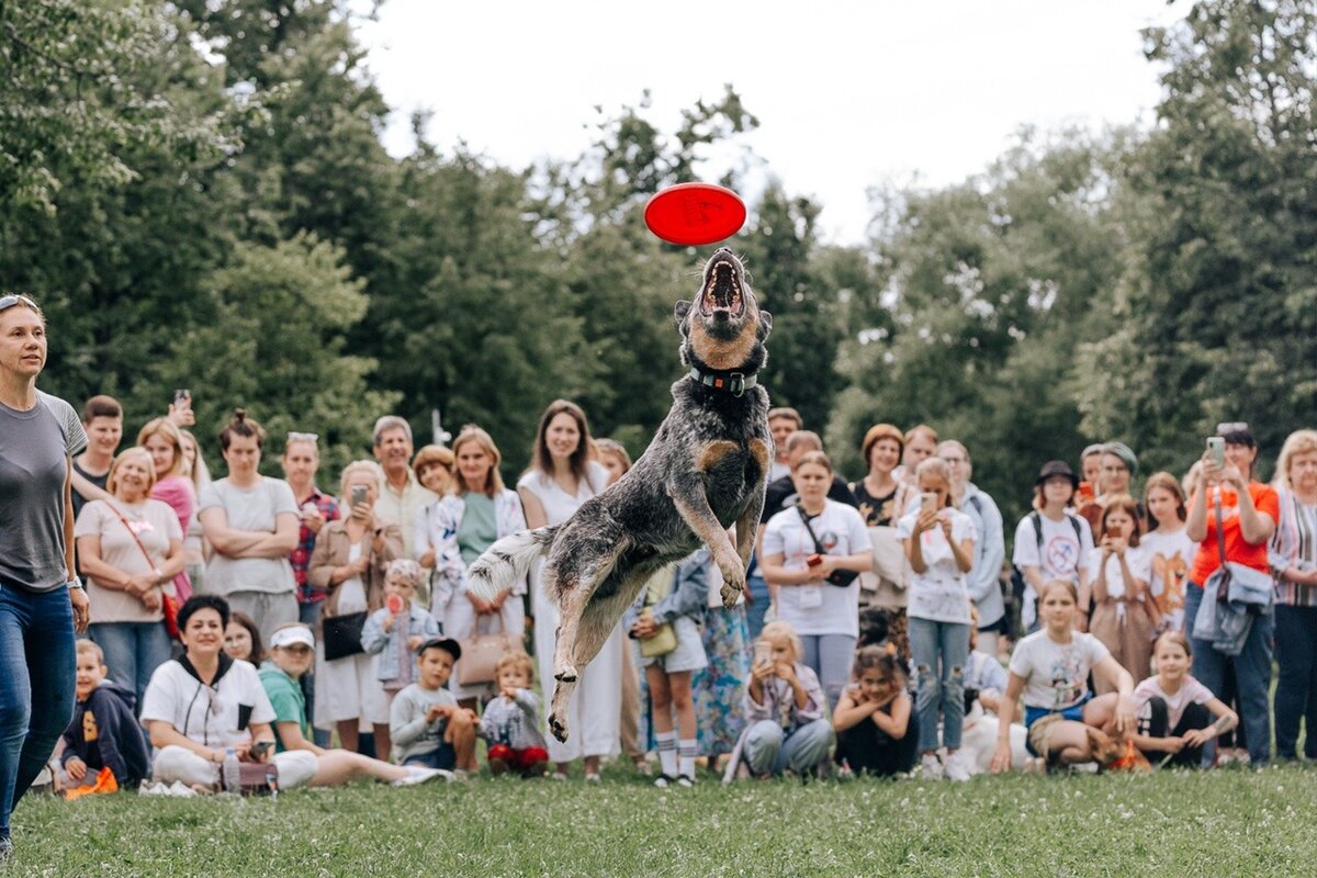 Фото- собственность канала