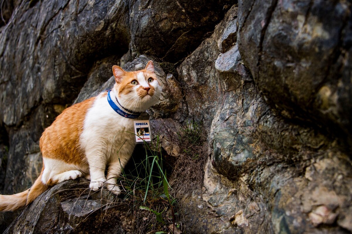 Я на дне древнего моря!