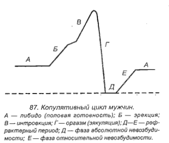 Отсутствие семяизвержения