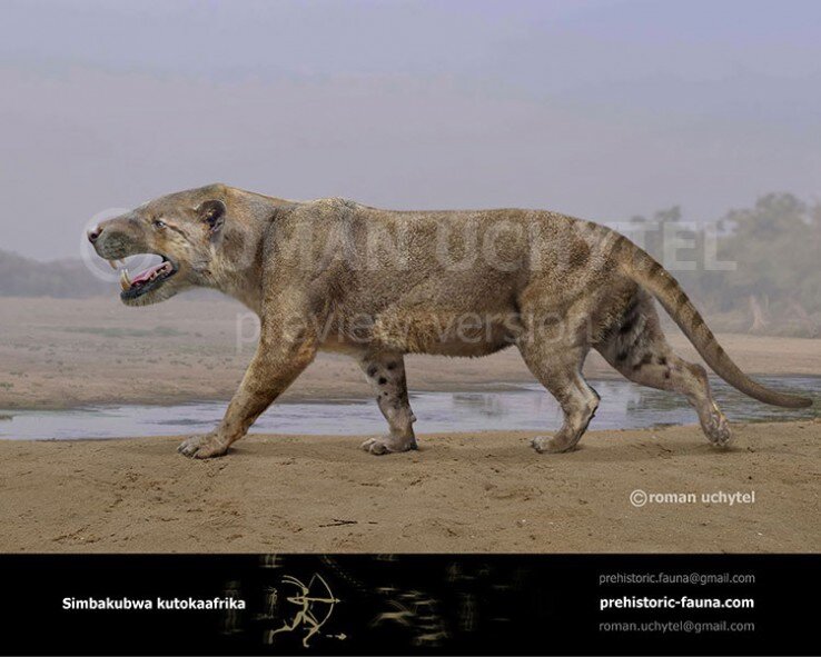 Пойду на пляж, искупаюсь.