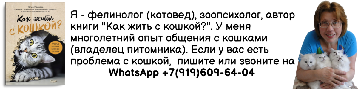 Домик для кошки своими руками: пошаговая инструкция — INMYROOM