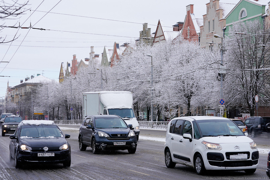 Фото: Виталий Невар / Новый Калининград