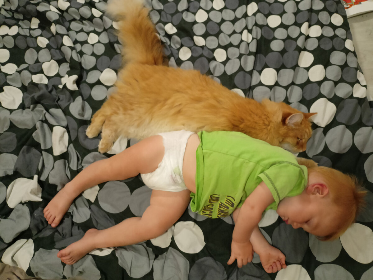 Мы с тобой одной масти