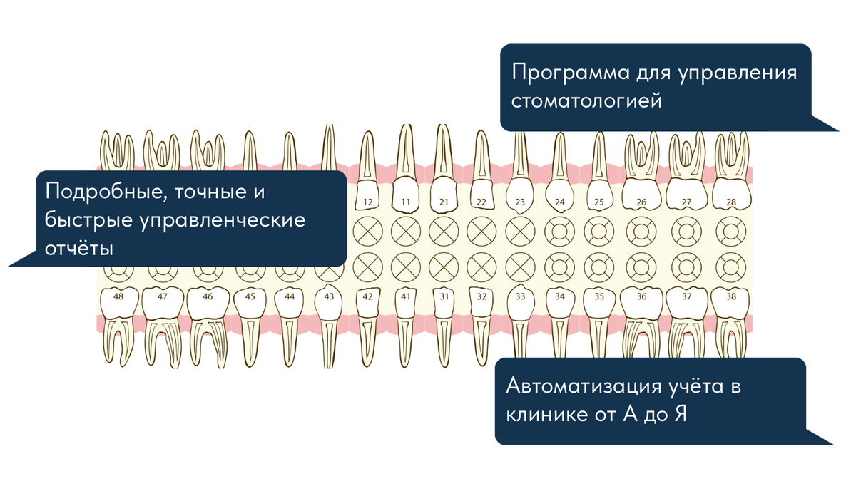 Внедрение МИС в стоматологии перевернуло всё с ног на голову! | Алексей  Баранов | Дзен