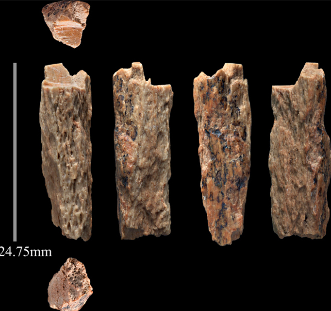  al.. Buckley, Michael; Derevianko, Anatoly; Shunkov, Michael; Procopio, Noemi; Comeskey, Daniel; Fiona Brock; Douka, Katerina; Meyer, Matthias et al. (2016-03-29). «Identification of a new hominin bone from Denisova Cave, Siberia using collagen fingerprinting and mitochondrial DNA analysis». Scientific Reports 6: 23559. ISSN 2045-2322. doi:10.1038/srep23559.