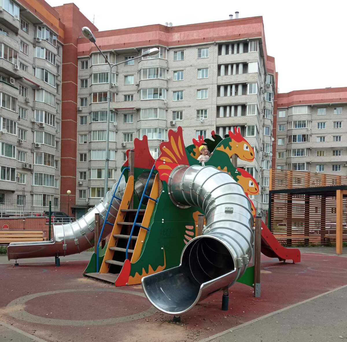 укротитель дракона