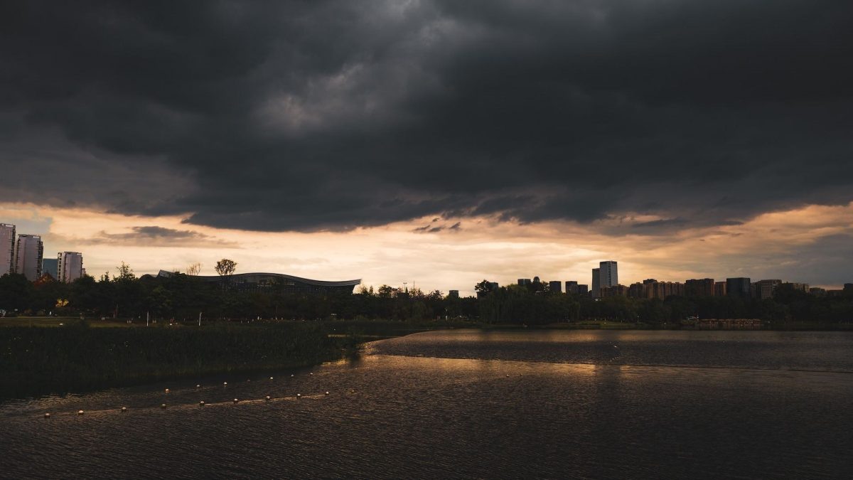    Фото: Unsplash Август Макаров