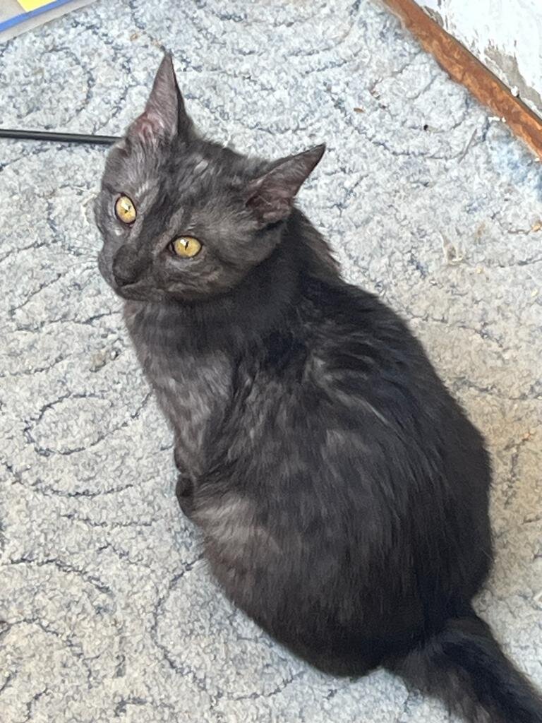 Да. Я подрос. Я уже может быть не такой милый, как раньше. Но мне всё равно надо домой!