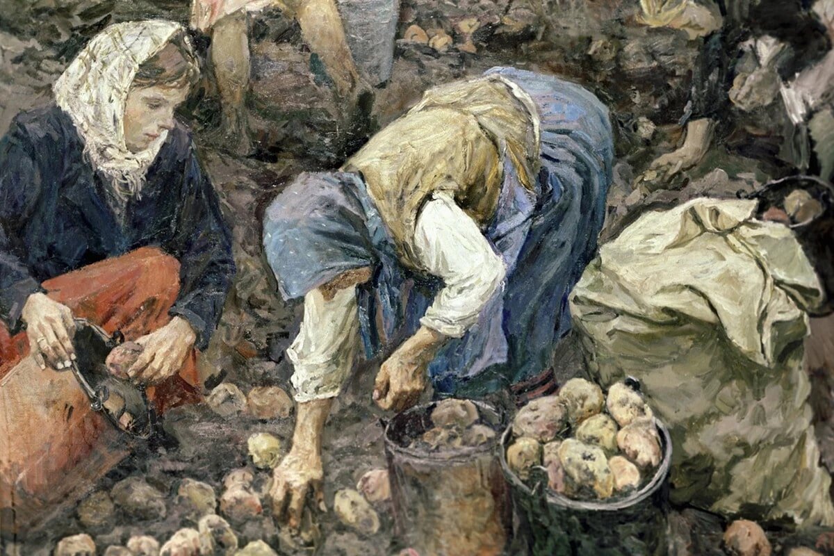 Аркадий Пластов. Сбор картофеля